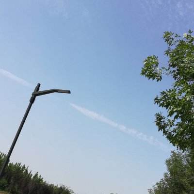 无道安卓下载
